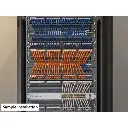 Linkbasic 22cm UTP Cat5e Flylead Orange