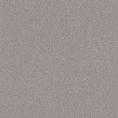 Silkhouse Casa Mila - Skin Deep Wallpaper in Elephant