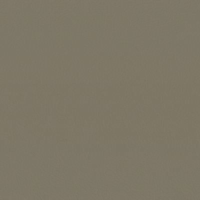 Caprice Outdoor - Formentera Vinyl Upholstery Fabric in Mushroom (140cm Wide)