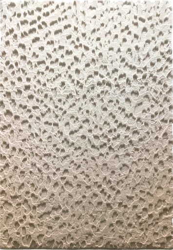 Silkhouse Wadi Golden Sand Rug 190×290 cm Abstract Low Pile