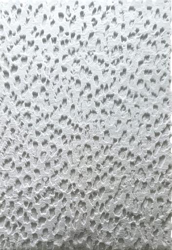 Silkhouse Wadi Mist Rug 190×290 cm Abstract Low Pile